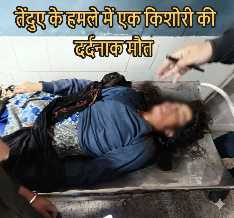 तेंदुए के हमले में एक किशोरी की दर्दनाक मौत।